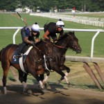 Rally #2 - Weekend Away - Saratoga Springs and Saratoga Battlefield